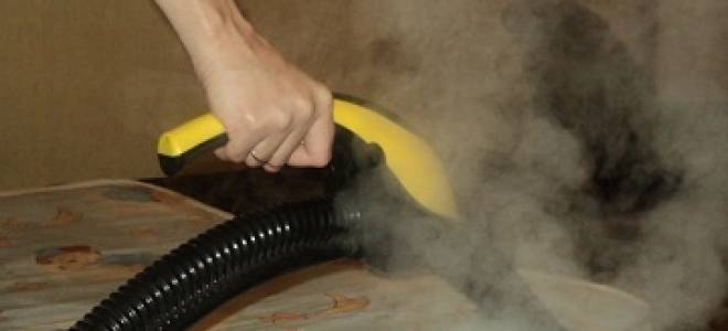 Как в старину боролись с клопами