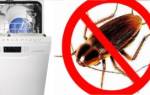 Тараканы в посудомоечной машине как избавиться