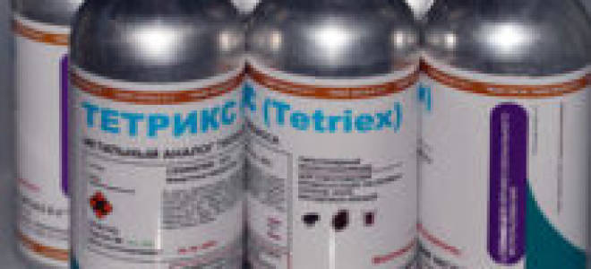 Как травят клопов специалисты