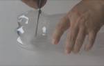 Как сделать муравья своими руками из пластиковых бутылок