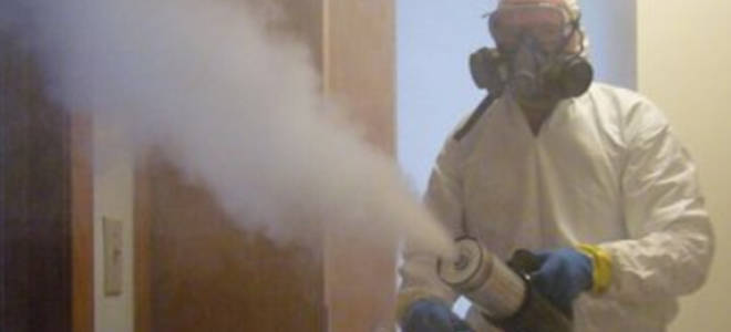 Как правильно клопов травить