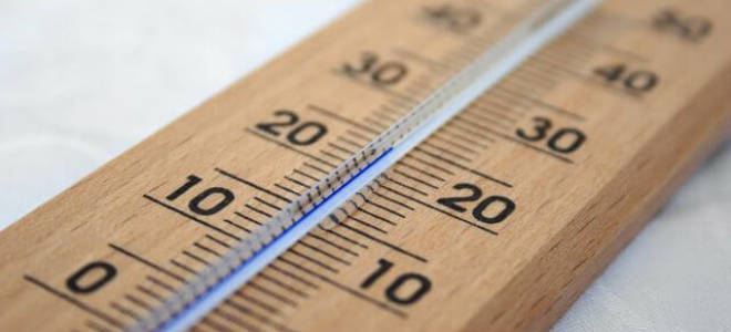 Чего боятся клопы в квартире