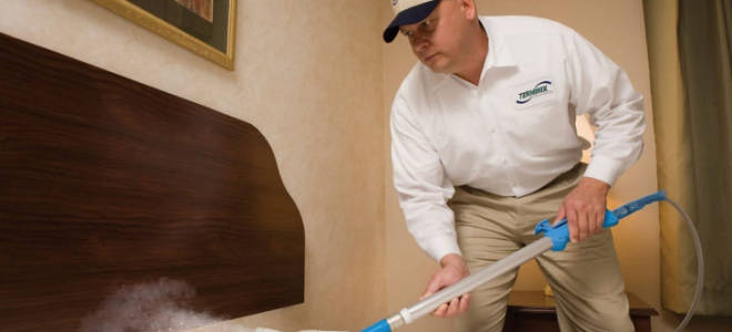 Как разводить циперметрин от клопов