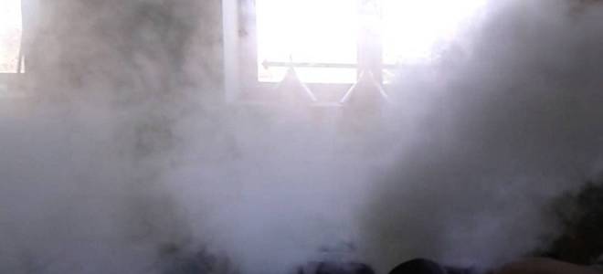 Чем травить клопов эффективно