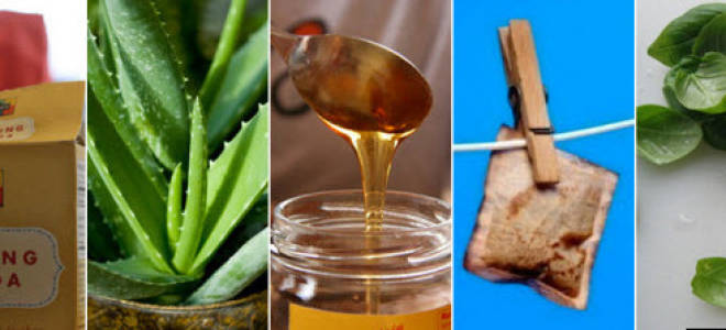 Чем намазать укусы клопов