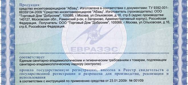 Укус осы опасен ли
